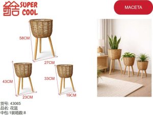 Maceta