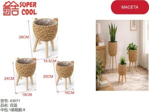 Maceta